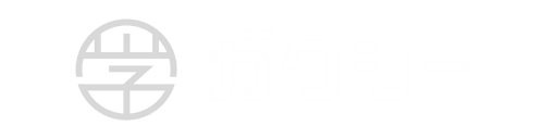 gaxi_white_logo
